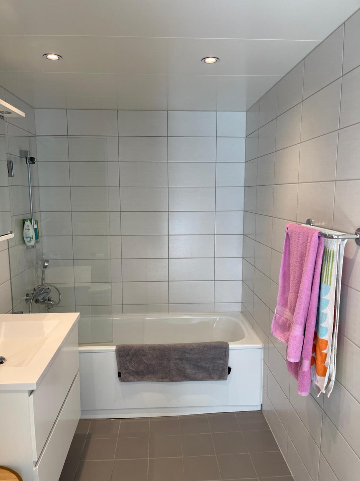 Penthouse - Apartment Lillestrom
